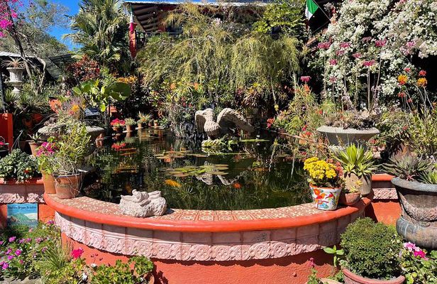 Private Tour to El Jardin Botanico, El Tuito and El Eden