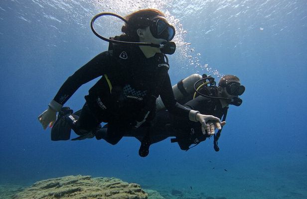 Experience Scuba Diving in Heraklion Crete