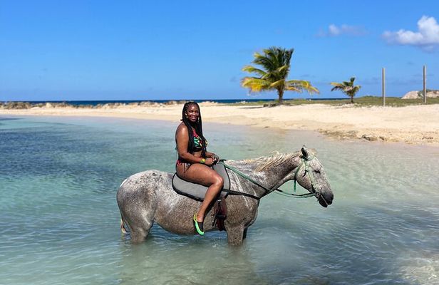 Horseback Ride and Swim Guided Tour from Montego Bay