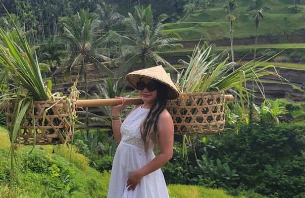Ubud Tour: Monkey forest, rice terraces, temple, waterfall