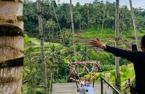 Ubud Harmony Tour - private tour