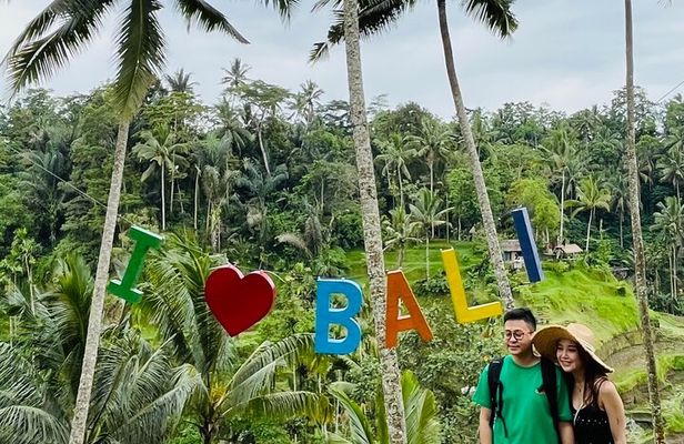 All Inclusive Ubud Tour with Rice Terrace, Waterfall and Temple