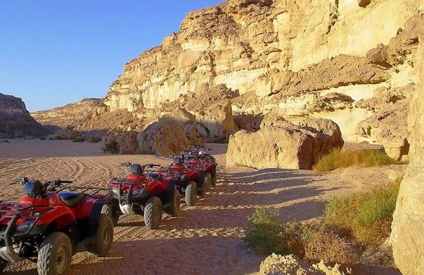 Bedouins trip in sharm Safari quad pick Camel Dinner_Stargazing