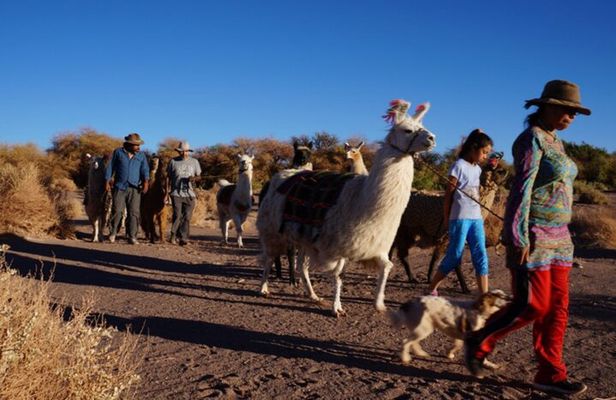 Archaeological Experience in Atacama Tulor and Quitor
