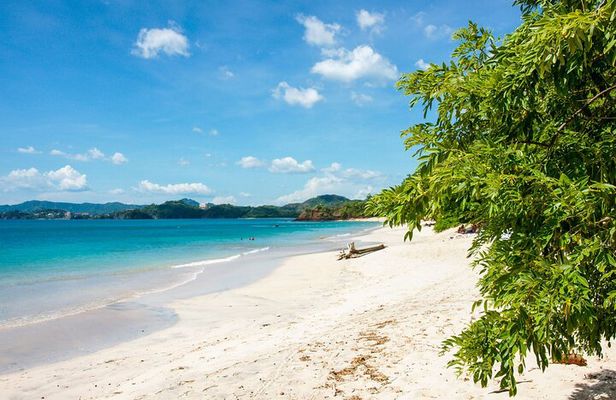 Full-Day Adventure to Manuel Antonio National Park from San Jose