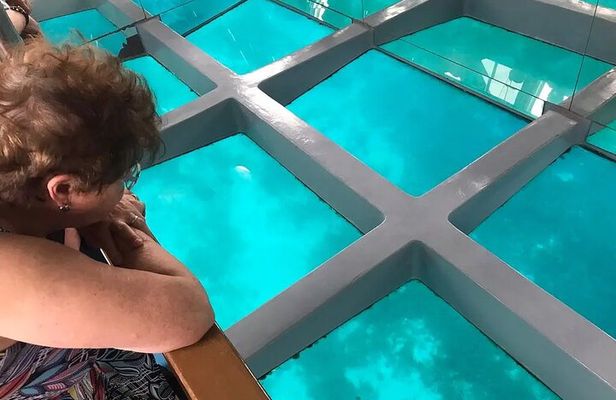 2 To 5 Hours Glass Bottom Boat Private Tour At Read Sea