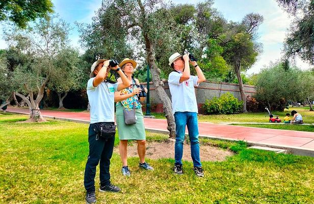 Birdwatching & Landscaping Tour in Lima