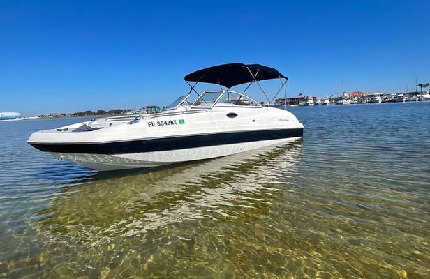 Private Boat and Dolphin Watching in Florida