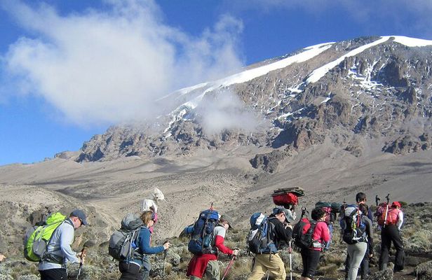 8 Days Mt Kilimanjaro Climb - Lemosho Route