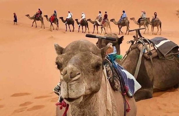 4 Days Desert Tours from Marrakech to Merzouga