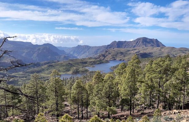 Hiking experience in the north of Gran Canaria