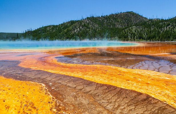 Full Day Yellowstone Nat'l Park Tour from Big Sky - Private Tour