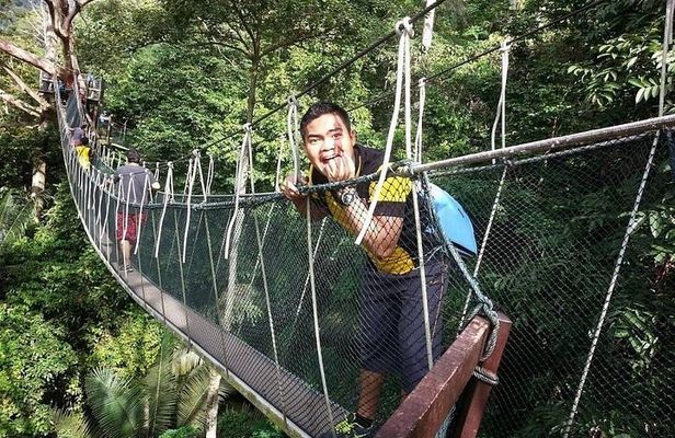 Forest Research Institute Malaysia FRIM Rainforest Private Tour 