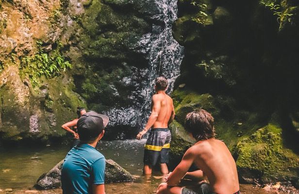 Private Guided Waterfall Hike Rainforest Adventure