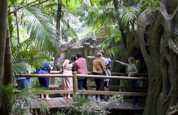 Daytime Scenic Rim Glow Worm Tour + Hop on Hop off Bus
