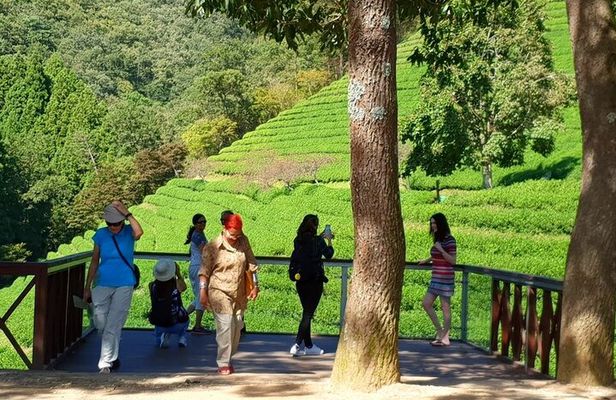Discover Western Korea in 4days: All-Inclusive Experience