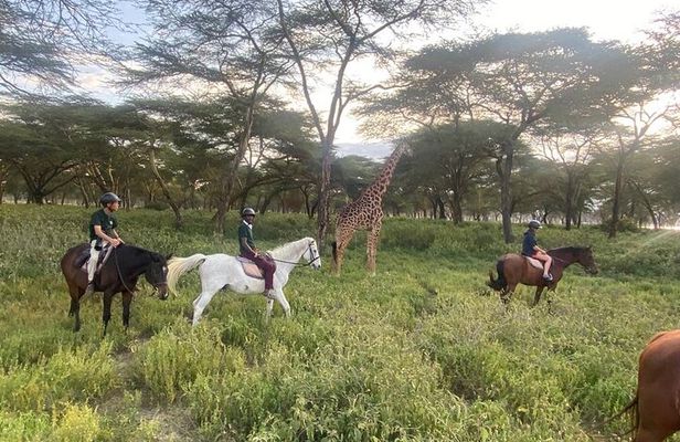 6 Day Nairobi-Amboseli-Maasai Mara Private Semi Luxury Tour