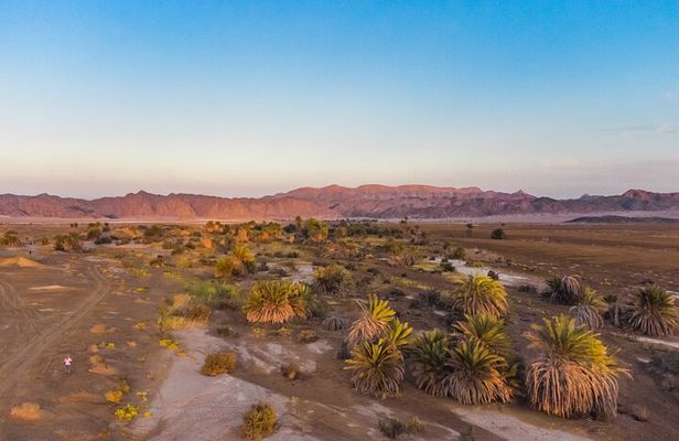 Luxury Sunset Safari to the Oasis & Starlit Dinner from Hurghada