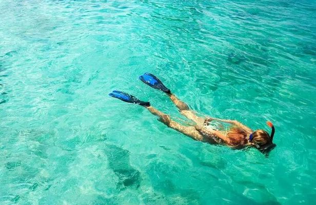 Snorkel Fort Lauderdale Jean Cousteaus Reef and Snorkel Trail