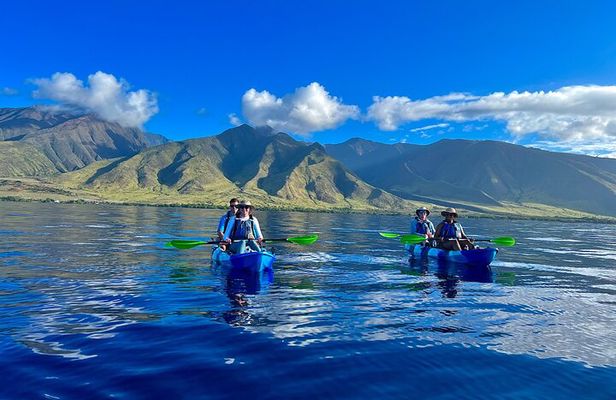 Kayak Whale Watch