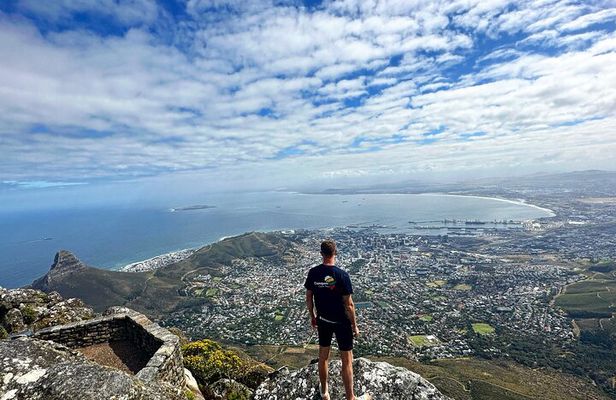 Flavours Of Cape Town Full Day Tour