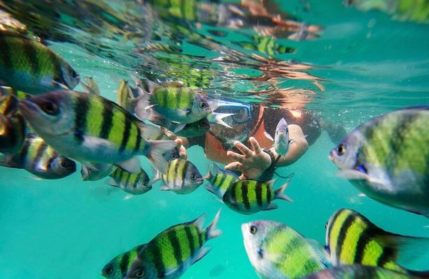 Pulau Payar Snorkeling Tour in Langkawi
