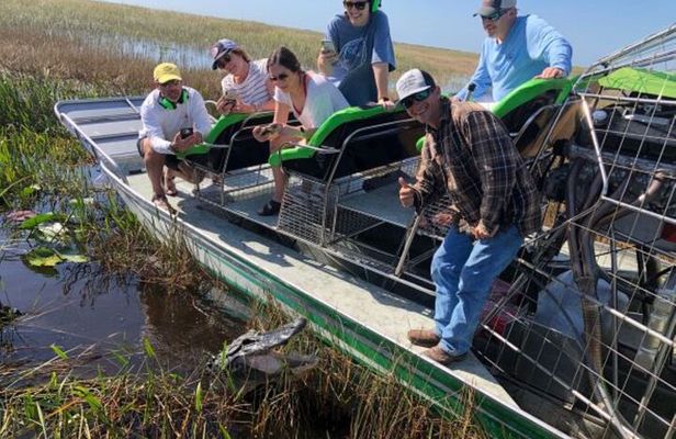 Miami: 60 Minute Private Everglades Airboat Ride
