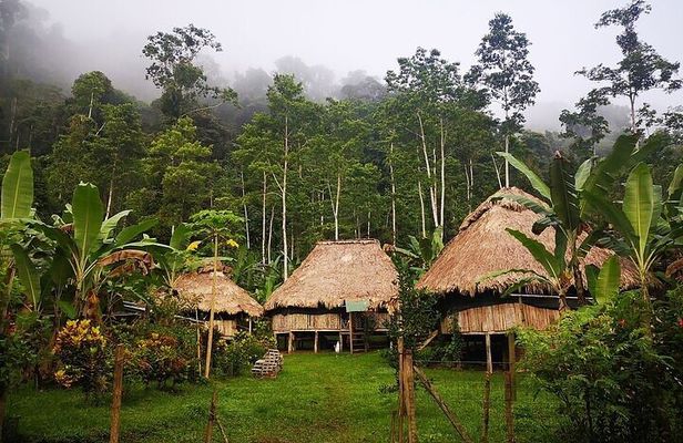 BRIBRI Chocolate tour & Cahuita National park from San Jose