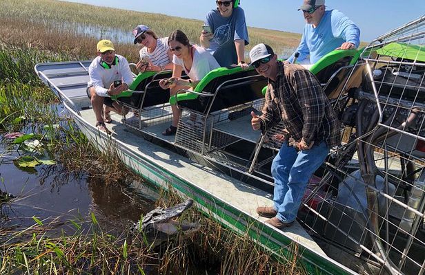 60 min Small Group Everglades Airboat Ride in Miami