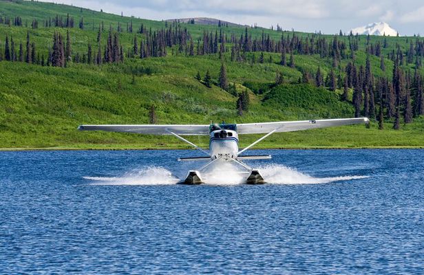 30 Minutes Seaplane Ride in Talkeetna