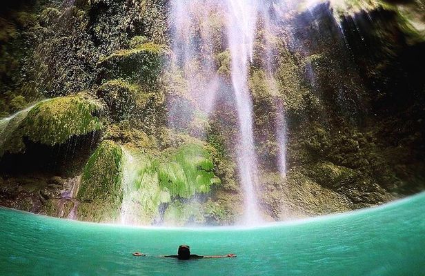 Oslob Whaleshark, Sumilon Sandbar & Tumalog Falls Tour with Lunch