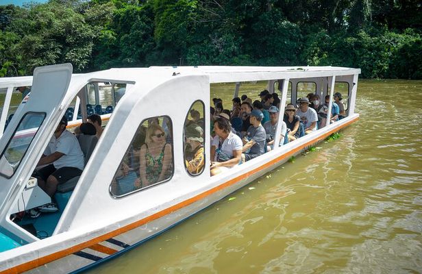“6-in-1 Tour: Cahuita National Park, Tortuguero Canals & More!”