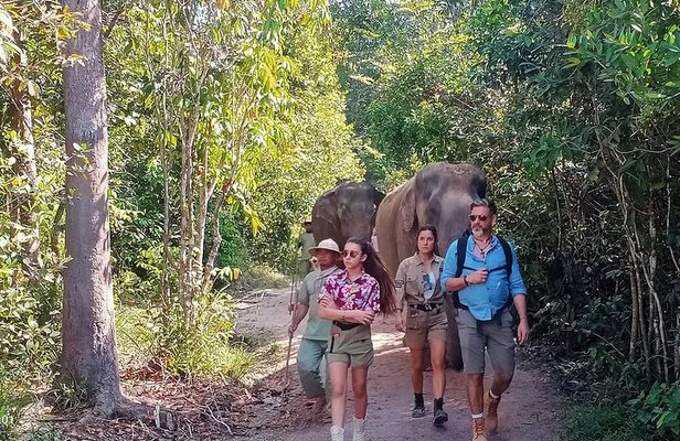 Kulen Elephant Forest and Tonle Sap Lake by Private Tour