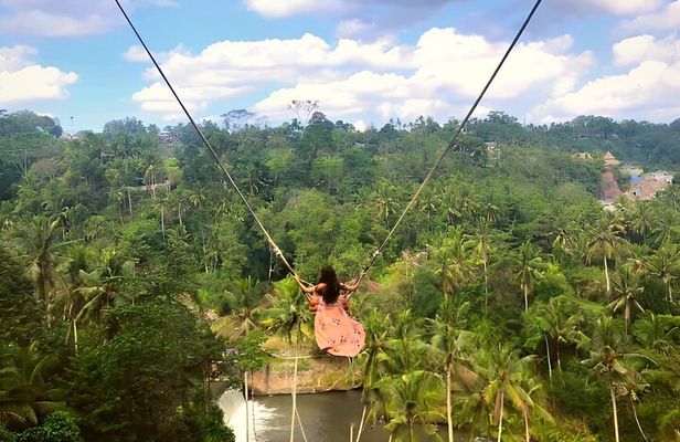 Ubud Tour with Jungle Swing and Waterfall Water Temple 