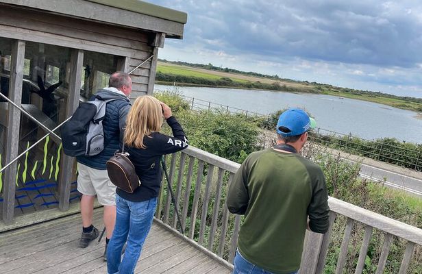 Sussex Birdwatching Private Guided Day Tour