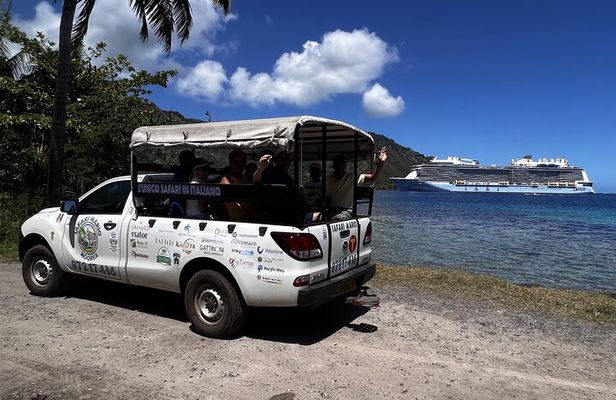 Moorea Cruise Ships: 4x4, Belvedere, Pineapple, & Magic Mountain
