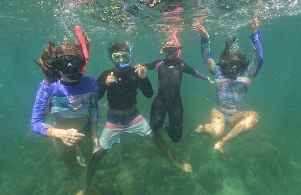 Snorkeling Tour on Macuco Island With Underwater Photos by Zimbros Ecotour