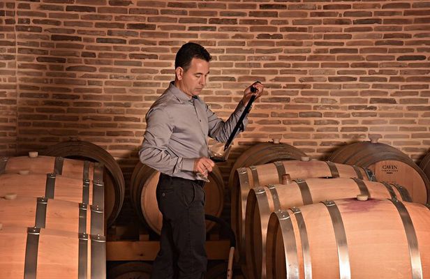 Corinth Winery Tour and Organic Fine Wine Tastings