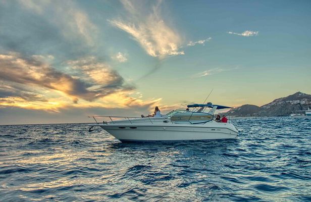 Private Whale Watching on Luxury Yacht in Cabo San Lucas