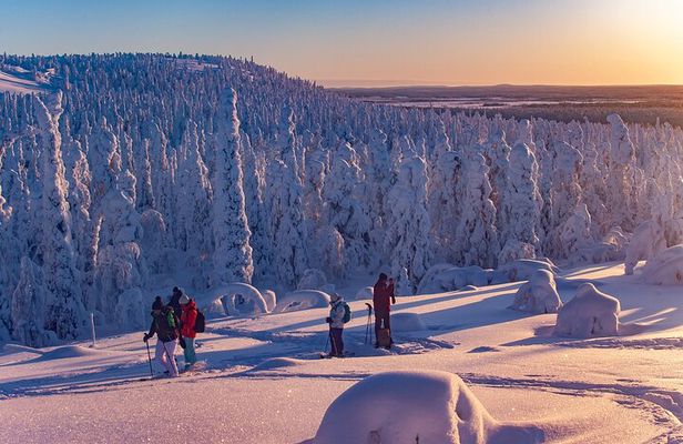 Full-Day Snowshoeing Adventure in Amethyst from Rovaniemi