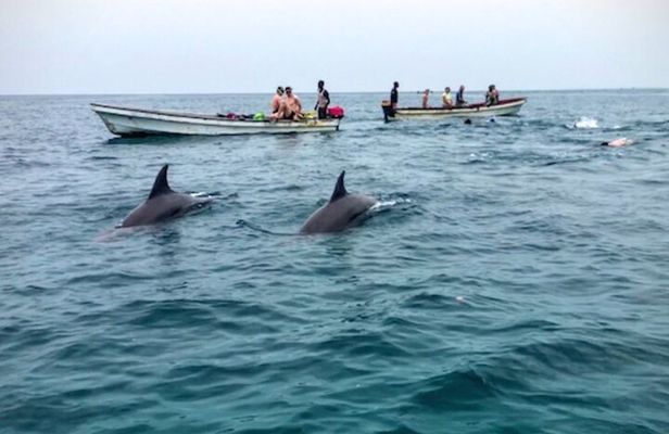 Mnemba Island Swim with Dolphins and Snorkeling (Sea food Lunch)