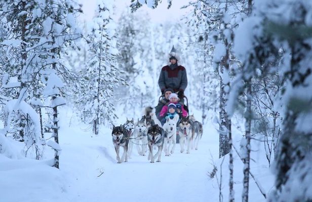 12-14KM Self Driven Husky Sled Adventure in Rovaniemi