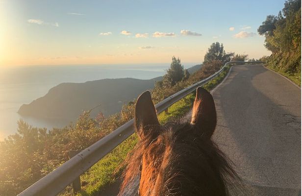 Horse ride on the coast of Monterosso al Mare Cinque Terre