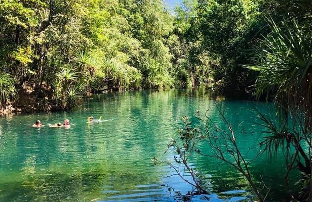 Berry Springs + Crocodile Cruise + Crocodlylus Wildlife Park