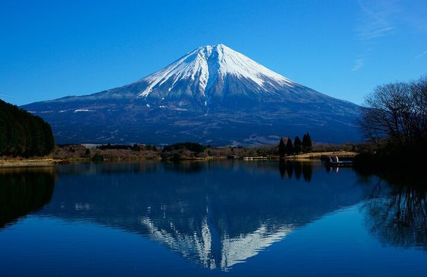 Best Mt Fuji and Hakone Full-Day Bus Tour from Tokyo