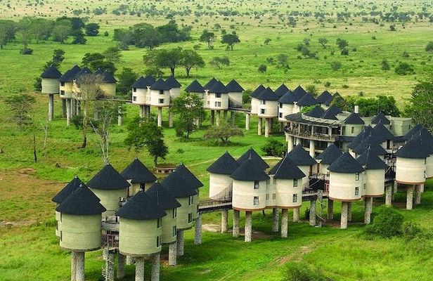 3 Days Tsavo East + Taita hills/Saltlick lodge from Malindi