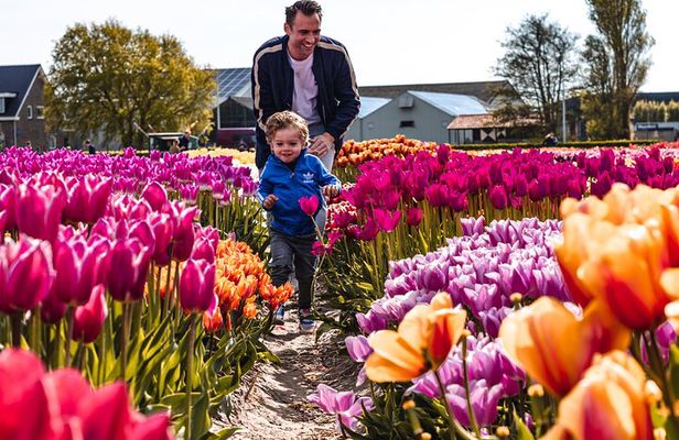 Tulip Experience and Keukenhof Flower Gardens Tour from Amsterdam