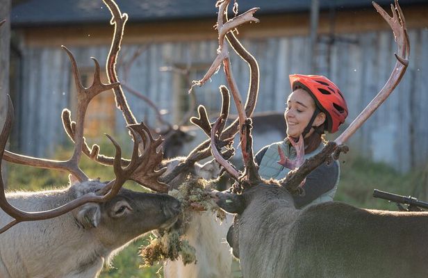 Electric Fatbike Trip to the Reindeer Farm