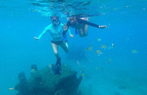 Blue Heron Bridge Guided Snorkel Tour