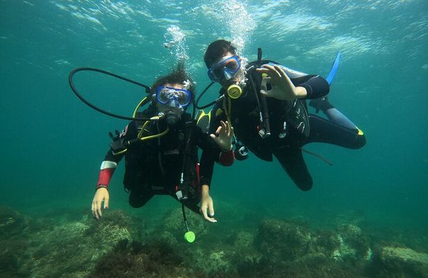 "Baptism of the Sea: Diving on the Island of Elba"